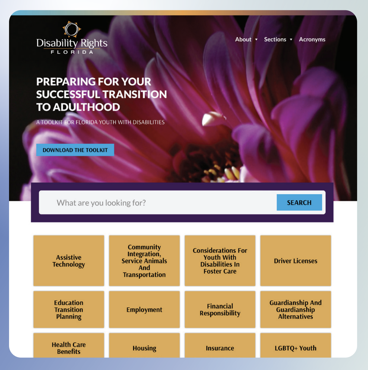 screenshot of transition toolkit website