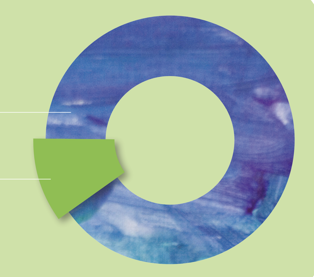 pie chart of Program vs. General and Administrative spending. 88% is program and 12% is administrative spending