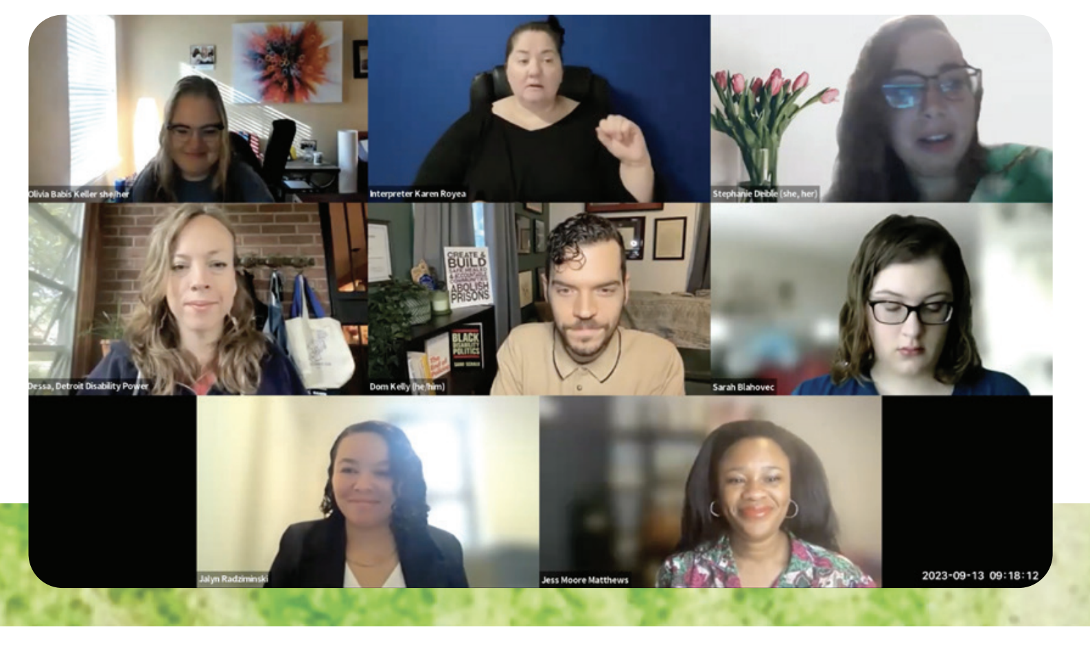 webinar interview with disabled leaders in civic engagment