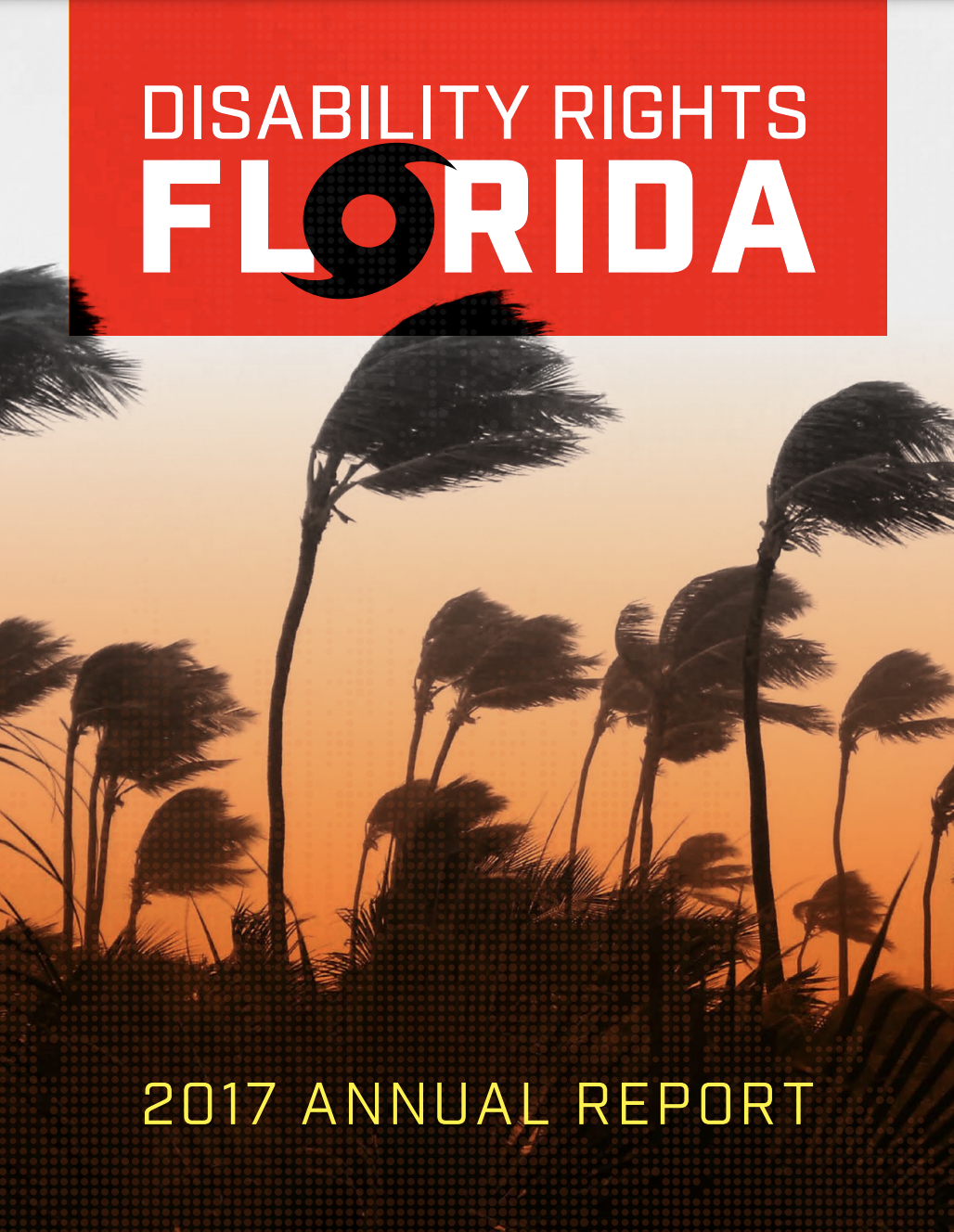 2017 Annual Report Cover