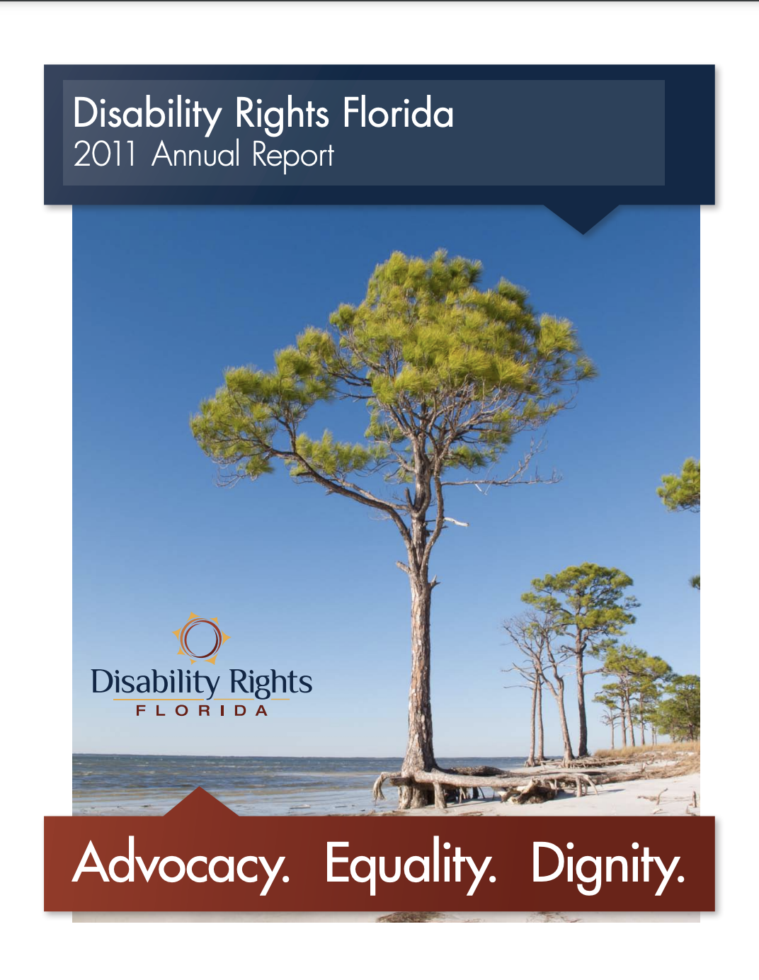 2011 Annual Report Cover