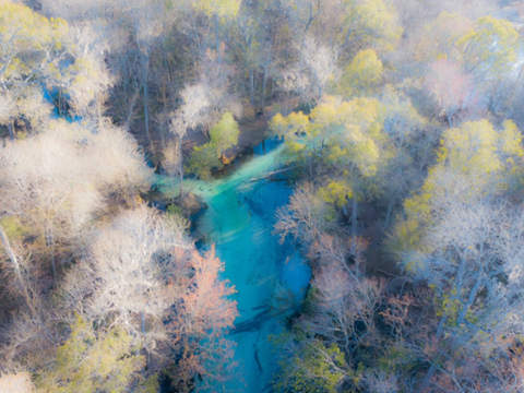 Aerial photo of a bright blue spring/stream surrounded by trees with grey, light green, and peach coloring