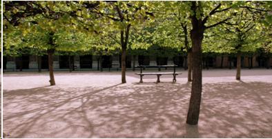 Photograph of a park, with a bench under many trees.